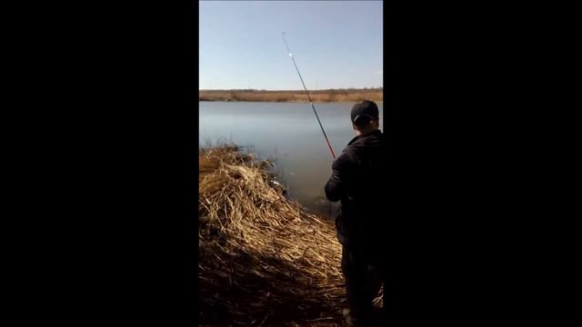ОТКРЫТИЕ ВЕСЕЕННИЙ РЫБАЛКИ НА КАРАСЯ смотреть онлайн