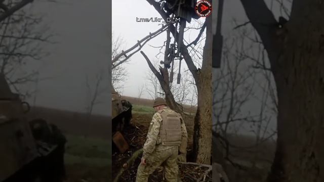 Если 3у 23-2 всушников улетела на дерево то где тот кто за ней сидел? смотреть онлайн