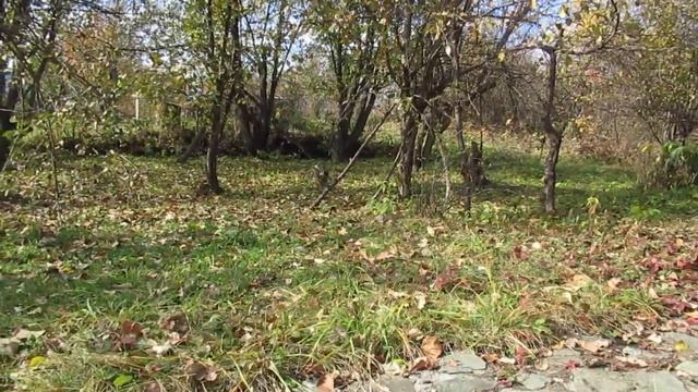 Чем путь короче... смотреть онлайн