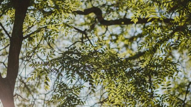 Как договориться со свекровью? Семейные проблемы решаю не с мужем а со свекровью. смотреть онлайн