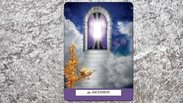 DAILY CARD READING ~ NEXT 24 HOURS ~ TODAY'S ORACLE READING ~ THIS MESSAGE IS MEANT FOR YOU ???? смотреть онлайн