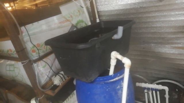 Убираю ошибки узв креветки розенберга смотреть онлайн