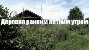 Деревня. Раннее утро. Звук природы для расслабления