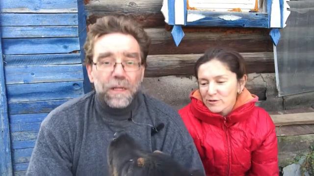 Первый СТРИМ питомника собак РашенДог (RussianDog) смотреть онлайн