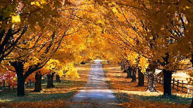 Pascal P - Road to Home смотреть онлайн