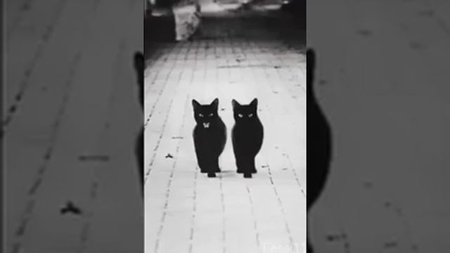 Баста Good Girl, Goodbye смотреть онлайн