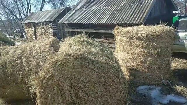 Привезли сено. смотреть онлайн