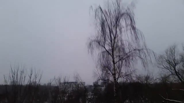 Прогноз от 9 12 17 Пасмурно без осадков с 1 смотреть онлайн
