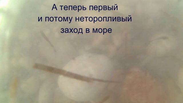 Родос: пляж и бассейн / Rhodos: beach and pool смотреть онлайн