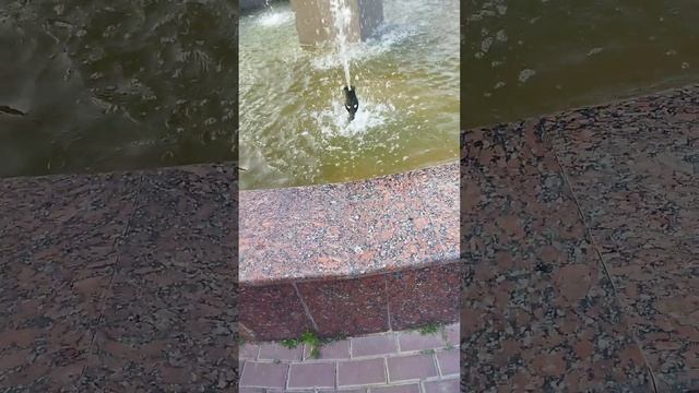 кто хочет так же?