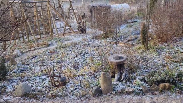 Суетный день предзимья в Избушке и Совином Доле