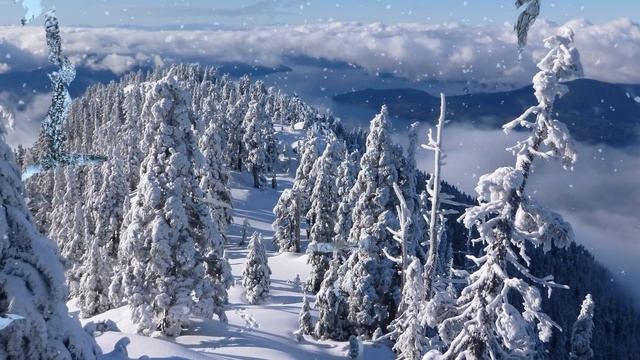 Невероятно красивая мелодия! Сергей Чекалин - Падал снег! смотреть онлайн