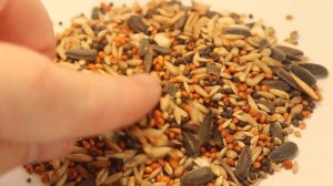 Смесь для лесных птиц