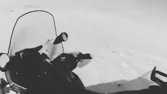 Ахота на волка Киргизия смотреть онлайн