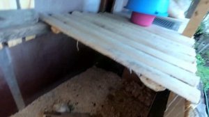 Клетка для бройлера своими руками. Курятник