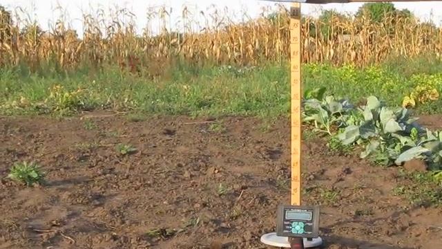 Тест металлодетектора ClonePI AVR смотреть онлайн