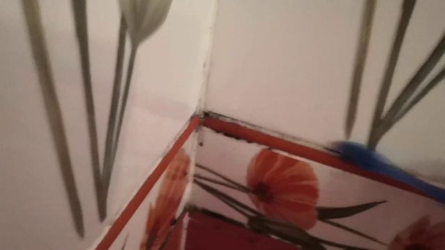 Уборка и порядок в каждом углу