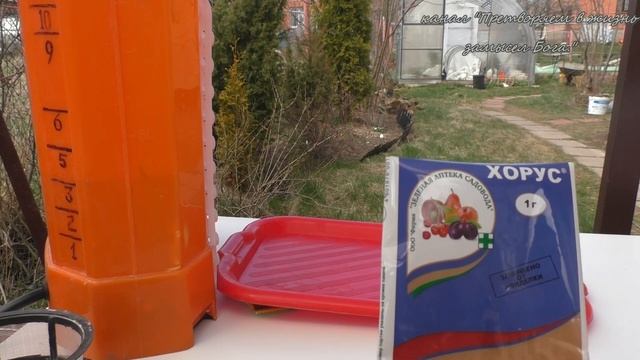 Яблочки будут чистенькие и не только они,если весной опрыснуть хорусом смотреть онлайн