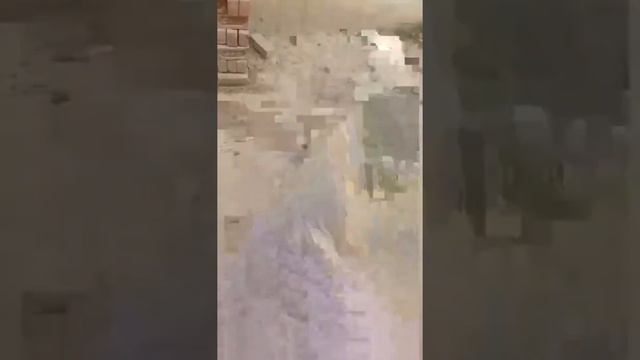 Pravind Yadav смотреть онлайн