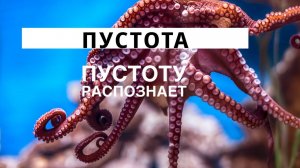 Екатерина Амани: Пустота пустоту распознает