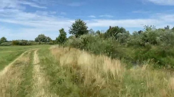 Racer nitro 250  грязь ,поле ,речка.