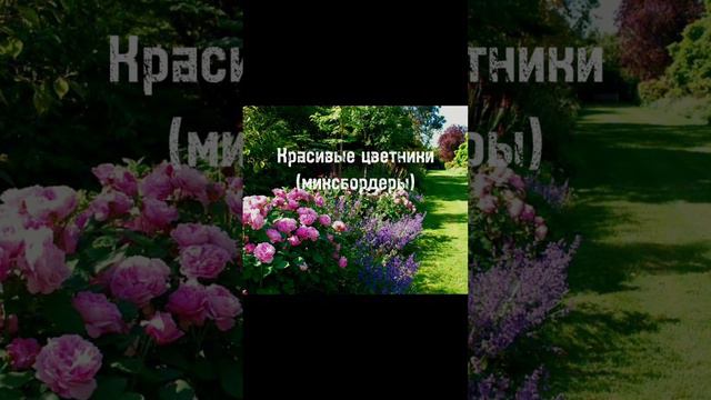 #сад #ландшафт #природа #искусство #алтай #АГУ смотреть онлайн