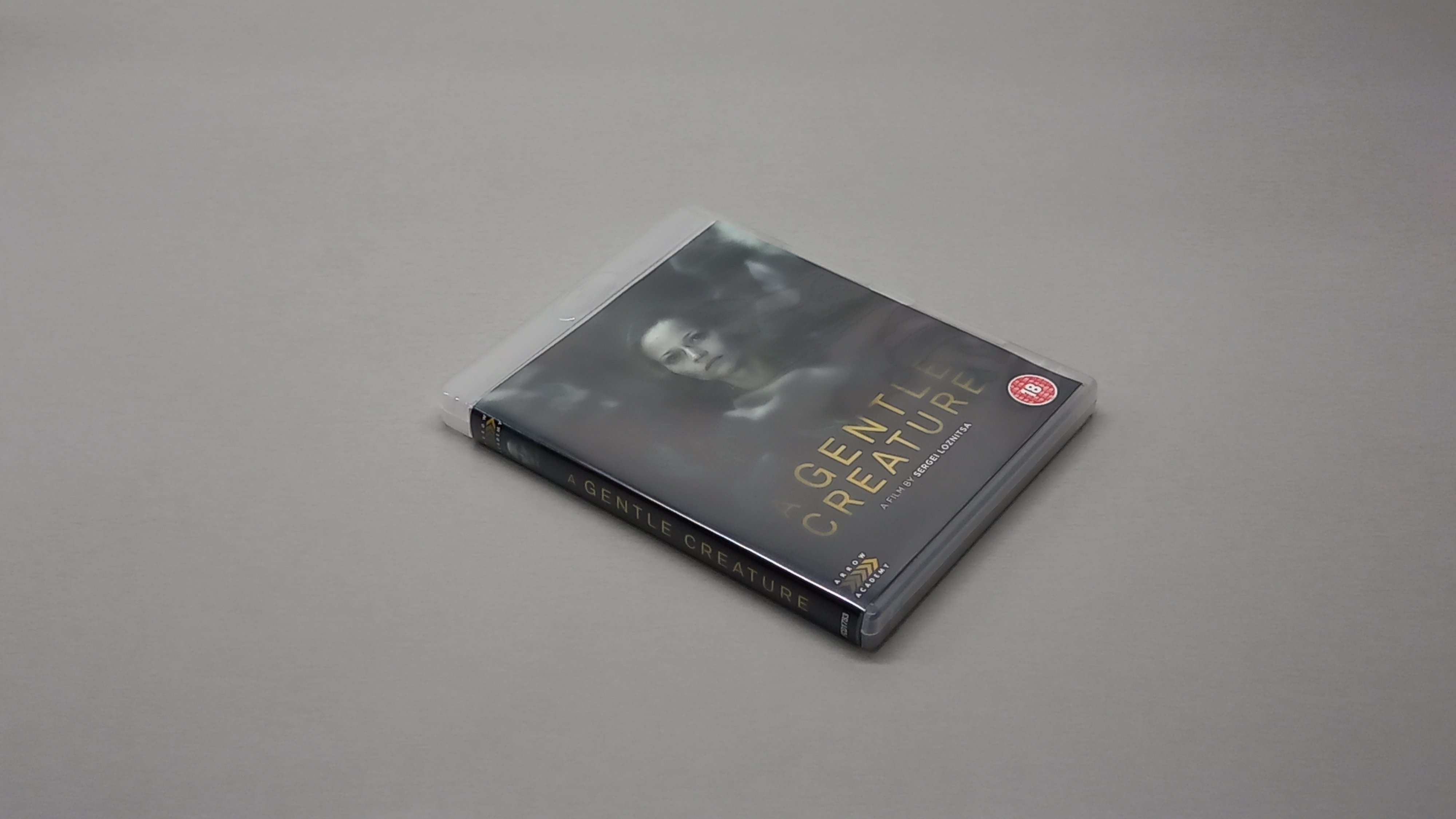 КРОТКАЯ - 2017 - Blu-ray - Василина Маковцева - Дмитрий Быковский смотреть онлайн