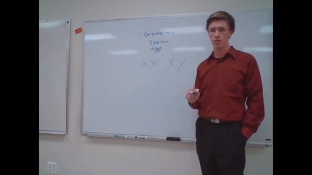 1 gender determinance смотреть онлайн