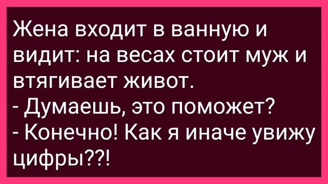 Дочь Барина и Конюх Лежат в Стогу Сена! Сборник Свежих Смешных Жизненных Анекдотов! смотреть онлайн