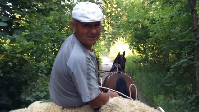 Другой женщине. Стихи, поэт Алексей Брянцев. смотреть онлайн