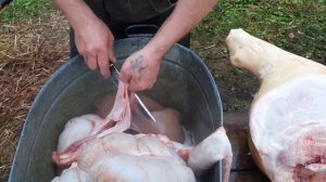 Разделка свиной туши кабана
