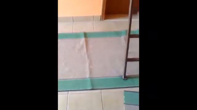 Lady (Bernski planinski pas) i Sofy смотреть онлайн