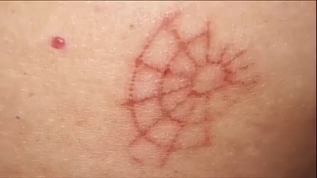 Robert Bernatowicz - NOWE INFORMACJE W SPRAWIE "ZNAKÓW APOKALIPSY"! смотреть онлайн