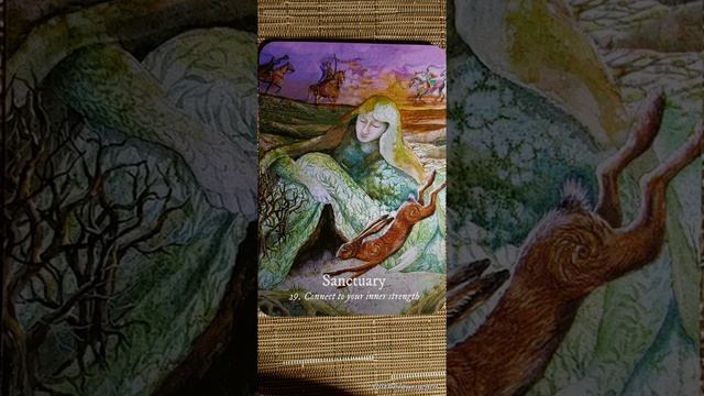 Sanctuary ? Goddess Love Oracle card meaning смотреть онлайн