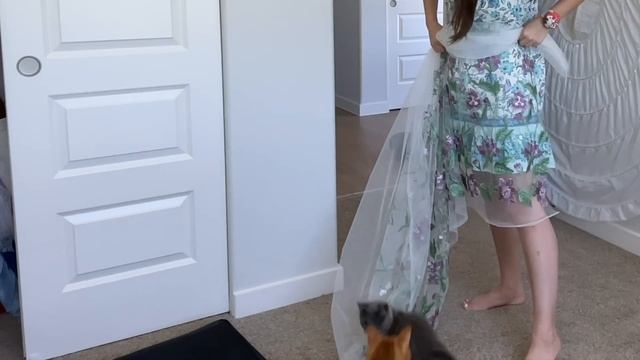 I Made A Forest Fairy Dress! | DY Fairycore Costume Cosplay