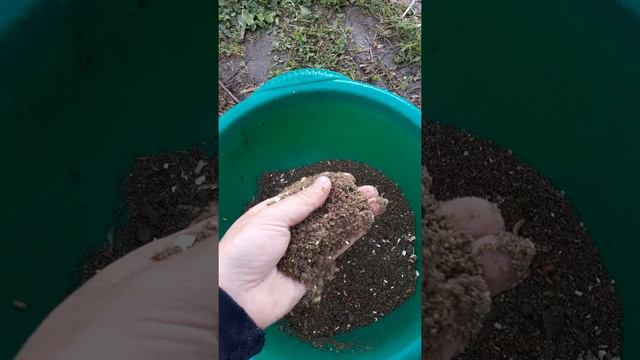 Рыбалка на Свияге на леща. На опарыша. смотреть онлайн