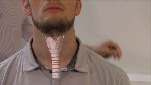 Thyroid Examination - OSCE Guide