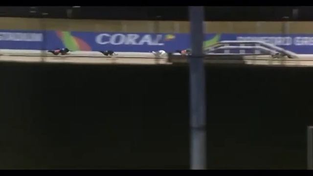 Bubbly Buster Wins The Coral Standard Final. In Trap 1 At Romford 15/11/2019. Xxxx смотреть онлайн