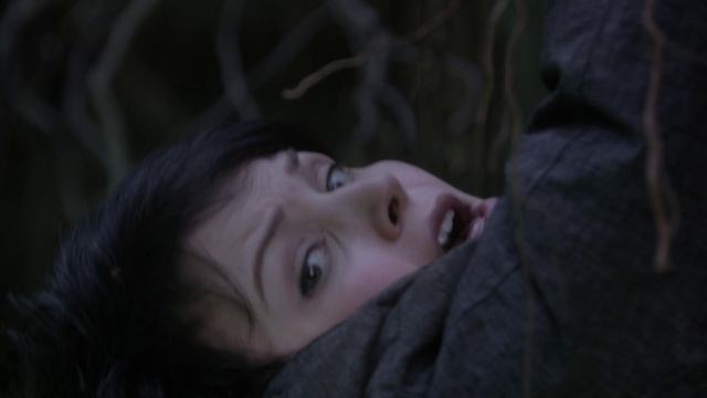 Однажды в сказке / Once Upon a Time – 1 сезон 10 серия