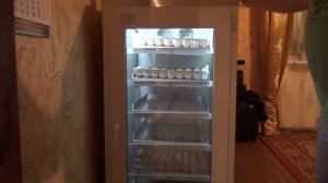 Проект 100 несушек!! Выгодно ли держать кур на яйца!! От яйца до курицы!! Часть первая вводная!