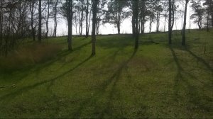 Как избавиться от сорняков на участке .Как избавиться от травы на участке.