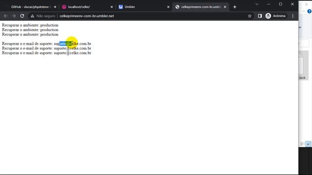 Como usar variáveis de ambiente .env no PHP смотреть онлайн