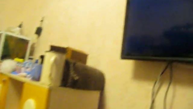 ребенок ест суп "неохотно" смотреть онлайн