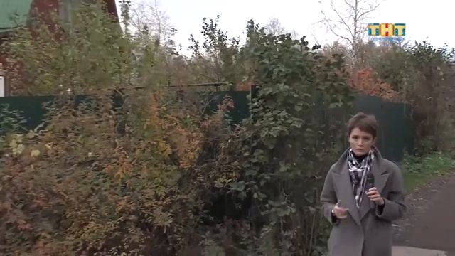 С председателей СНТ будут собирать подоходный налог смотреть онлайн