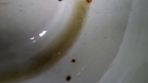 замена масла в коробке синтай 244