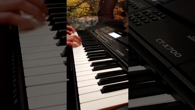 Степан Гіга "Яворина"(1) Casio CT X-700 смотреть онлайн