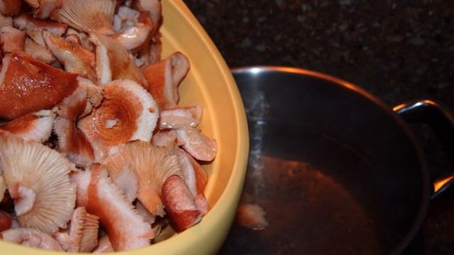 Сборник рецептов