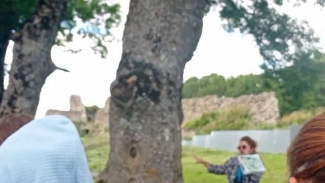 Крепость семи столетий #КапорскаяКрепость #АрхитектурноеСооружение смотреть онлайн