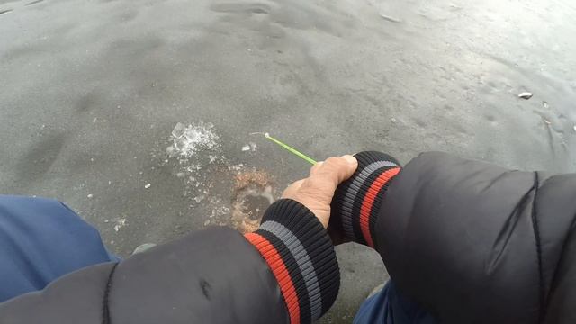 Зимняя рыбалка на водохранилище. Попал на раздачу плотвы. Клёв плотвы на безмотылку. смотреть онлайн
