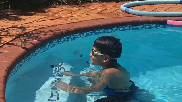 Nature’s greatest architects/Лучшие ткачи в мире. смотреть онлайн